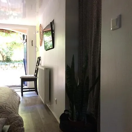 Le Jardin De Félicie *