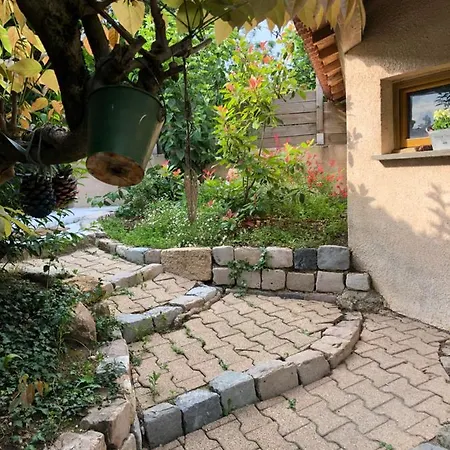 Le Jardin De Félicie * Trévoux