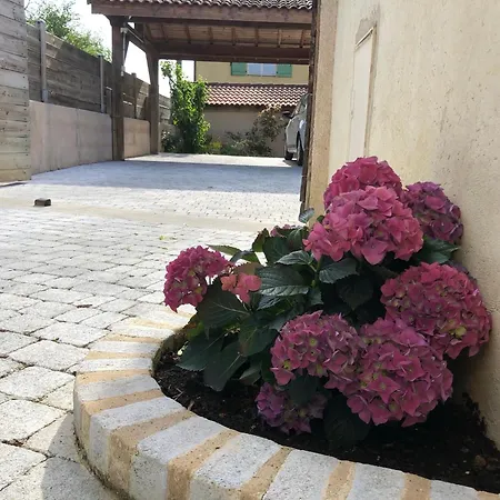 Le Jardin De Félicie * Trévoux
